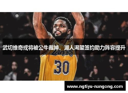 武切维奇或将被公牛裁掉，湖人渴望签约助力阵容提升