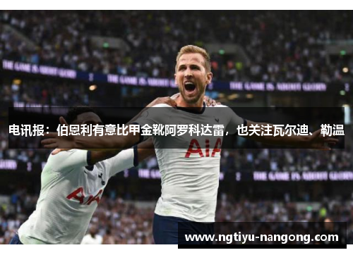 电讯报：伯恩利有意比甲金靴阿罗科达雷，也关注瓦尔迪、勒温